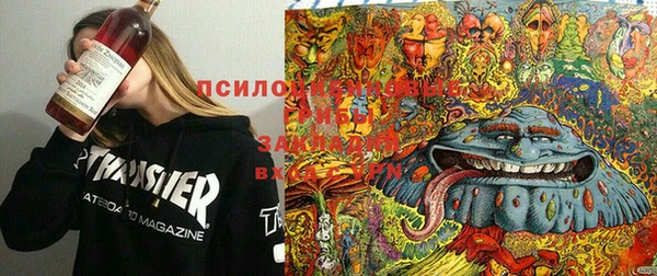 кокаин премиум Нефтегорск