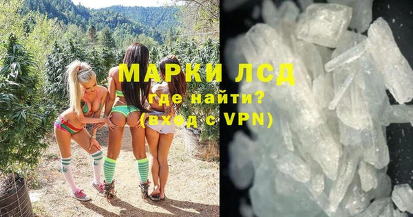 индика Нея