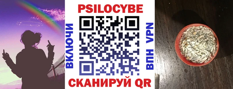 Купить закладки  Махачкала  Галлюциногенные грибы мухоморы 